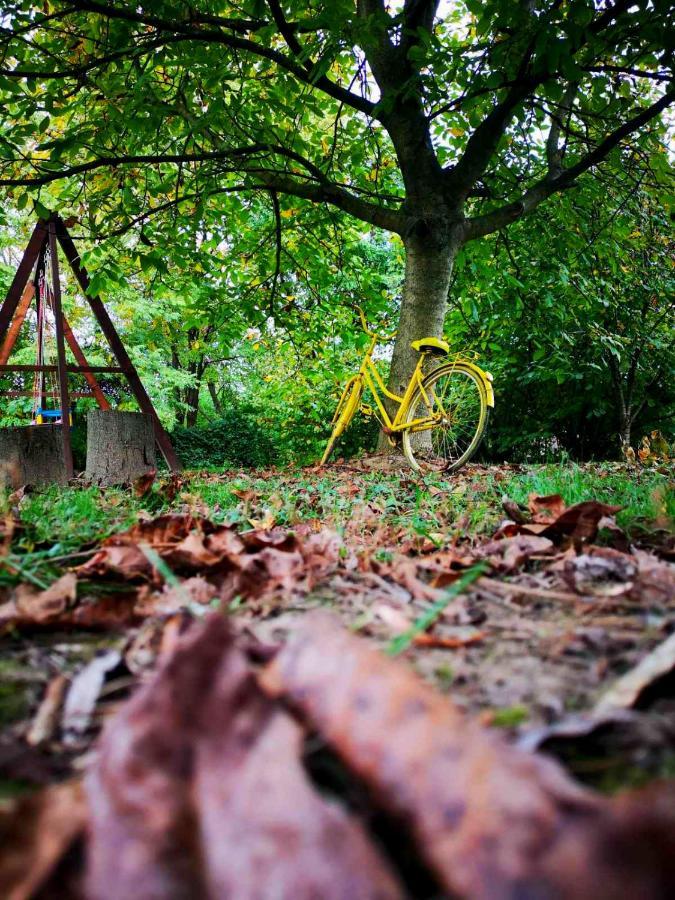 Kuca Za Odmor Rubic Villa Vinkovci Eksteriør billede